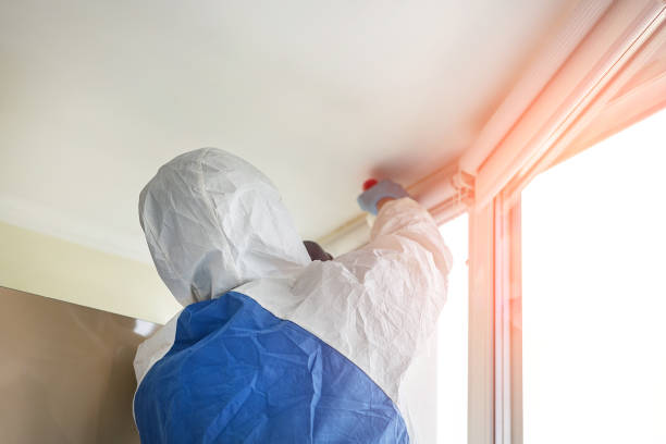 Best Black Mold Removal  in Dawson, TX