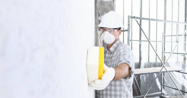 Trusted Dawson, TX Mold Inspection Experts