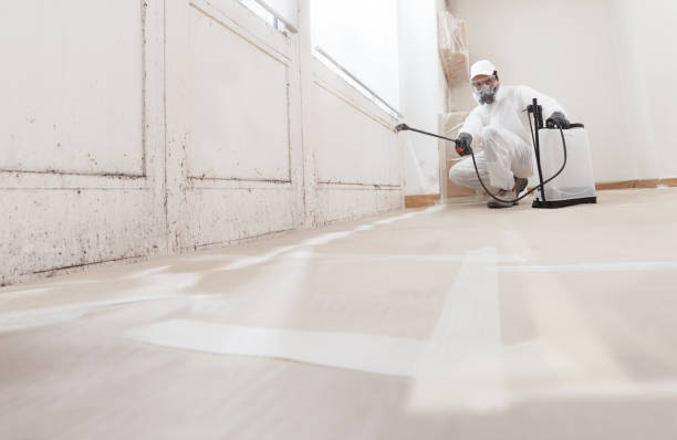 Best Mold Odor Removal Services  in Dawson, TX